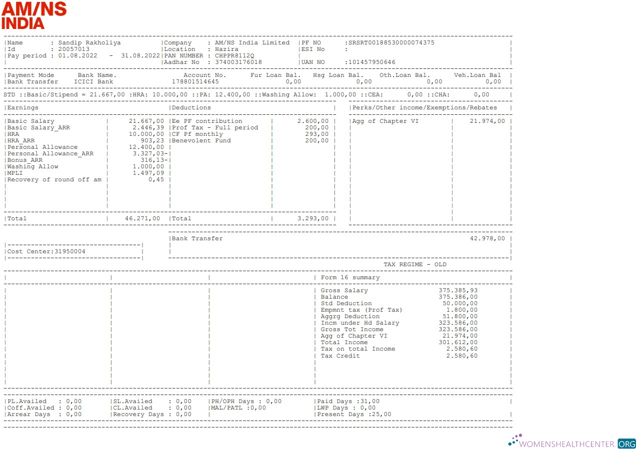 Download AM NS India Paystub Photoshop template